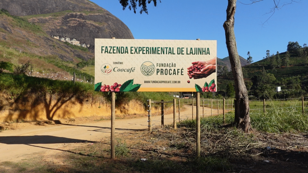 Coocafé e Fundação Procafé firmam parceria para implantar fazenda experimental em Lajinha/MG